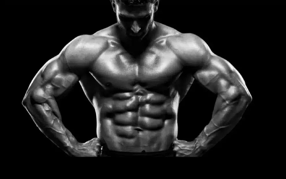 science behind muscle growth