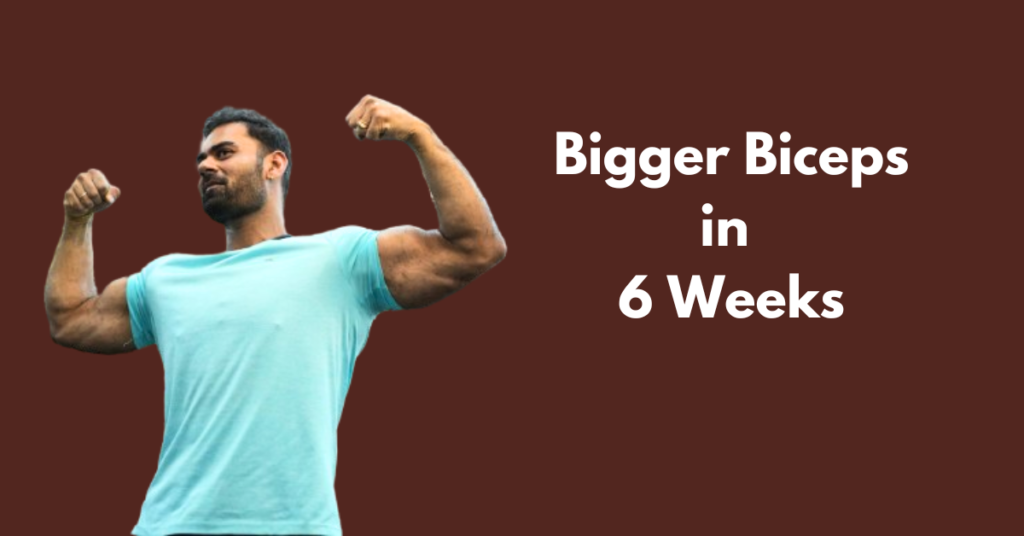 Biceps Workout Chart for Size & Definition AnExtraRep