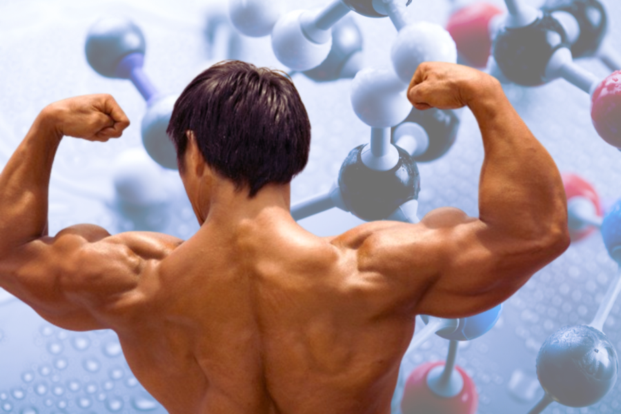 Peptides for Muscle Growth